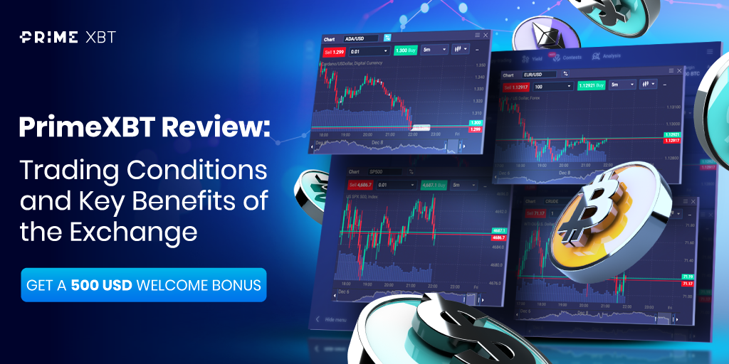 Comprehensive PrimeXBT Guide for Traders 28
