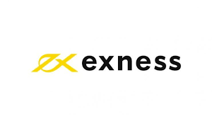 Exploring the Exness Web Platform for Modern Traders