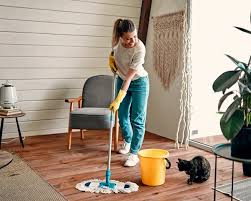 Profesjonalne cleaning services dla Twojego domu