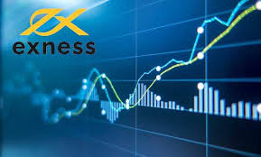 Understanding the Variety of Exness Trading Instruments